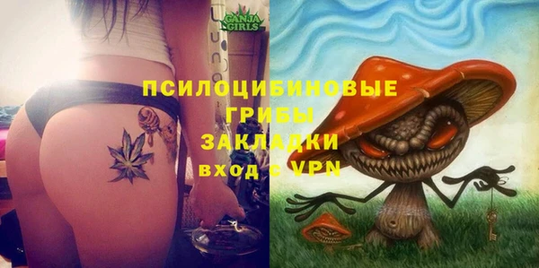 a pvp Алзамай