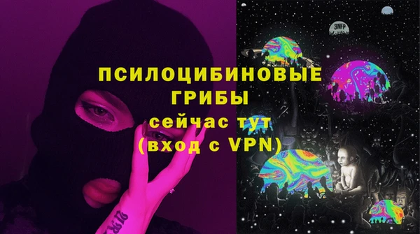 a pvp Алзамай