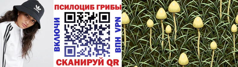 Псилоцибиновые грибы Psilocybine cubensis  Островной 